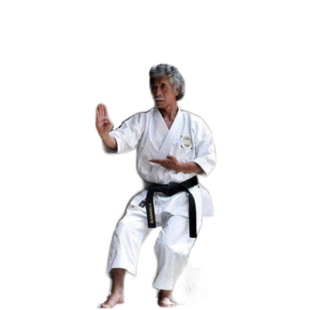 Каратэ тренер